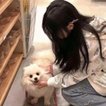勇者斗斗龙官方版下载